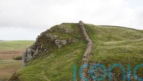 Hadrian’s Wall was damaged by felled Sycamore Gap tree, experts say