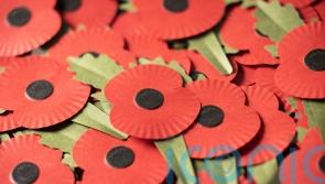 Alleged assault of poppy-selling veteran during anti-war rally investigated