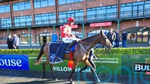 Imagine makes good first impression over fences