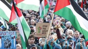 Pressure on Met to ban ‘provocative’ Armistice Day pro-Palestine march