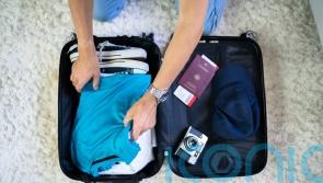 5 excellent luggage options for every type of trip