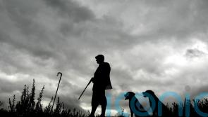 Gamekeepers fear snaring ban will leave them in ‘dire straits’, MSPs told