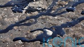 Climate criminals should ‘get a good lawyer’, says MSP proposing ecocide law