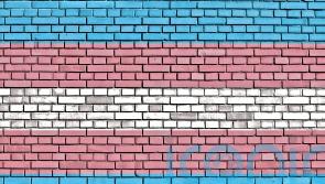 ‘Language barrier may have caused confusion on census gender identity question’