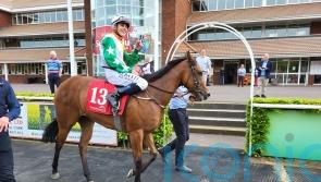 Tiger Belle heading for the sales after her Breeders’ Cup foray