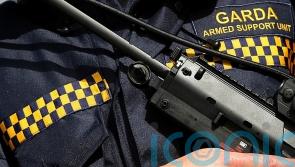 Garda fired gun during attempt to stop stolen lorry