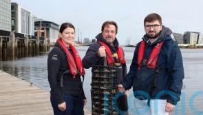 Oysters hoped to improve water quality and boost marine life in Belfast Harbour