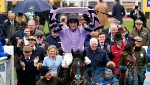 Stage Star on course for Cheltenham return