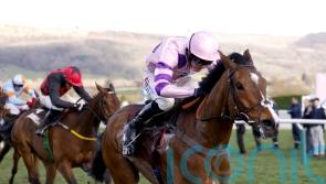 Stay Away Fay makes perfect start to chasing career