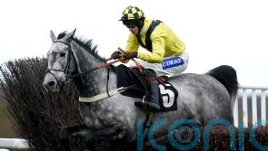 Elixir De Nutz takes home Haldon Gold for Tizzard team