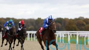 Mukaddamah achieves Listed aim with Gillies success