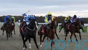 Onesmoothoperator swoops late to take November Handicap
