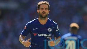 Cesc Fabregas lands first senior management job with Como caretaker role