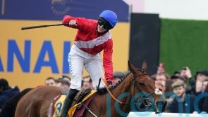 De Bromhead pleased with ‘much improved’ Envoi Allen