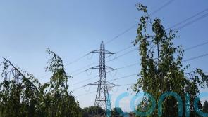 New rules to kick ‘zombie’ solar farms off grid queue
