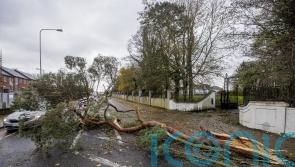 Gusts over 70mph recorded as Storm Debi blows in