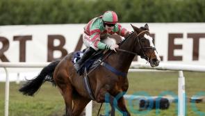Tommy’s Oscar forced to sidestep Cheltenham trip