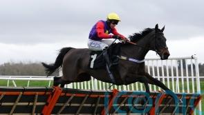 Dashel Drasher may revert to chasing next time out