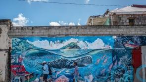 Dominica sets up world’s first sperm whale reserve