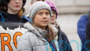 Greta Thunberg to appear in court charged with public order offence