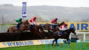 Morgan upbeat over pair of Paddy Power contenders