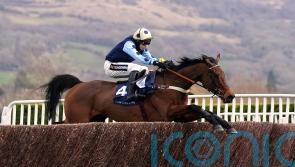 Edwardstone ‘ready to go’ for Cheltenham return