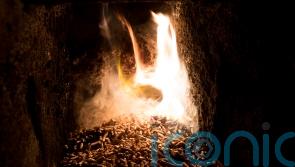 RHI boilers left to ‘gather dust’ as businesses return to fossil fuels, MPs told
