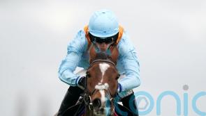 Middleham Park big guns to clash in Long Distance Hurdle