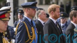 ‘No going back’ for William and Harry, royal writer Omid Scobie says
