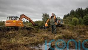 Urgent appeal for information as latest search for Columba McVeigh ends