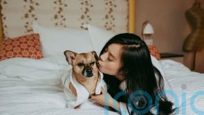 CEO spends thousands on her beloved dog including Wagyu beef meatballs, swimming lessons and £500 birthday party