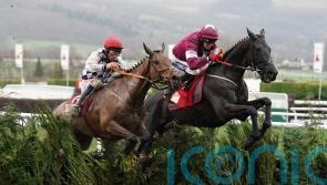 Delta Work and Galvin clash again at Cheltenham