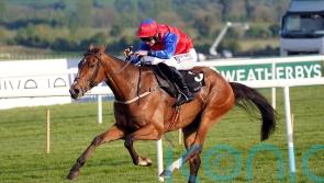 Townend excited to get Facile Vega going over fences