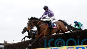 Festival stars fancied to go for gold again in Paddy Power