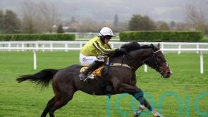 Burdett Road ultra-impressive in Triumph Trial victory