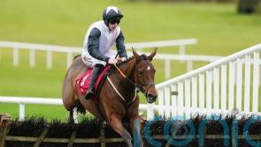 Kala Conti kicks off Irish career with Navan cruise
