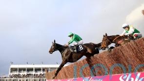 Malina Girl powers to impressive Cheltenham success