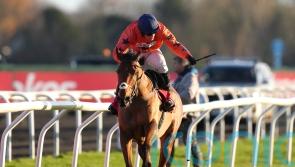 Jacob booked to ride Bravemansgame in Betfair Chase