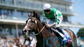 Appleby thrilled as Escobarr delivers Italian job perfectly