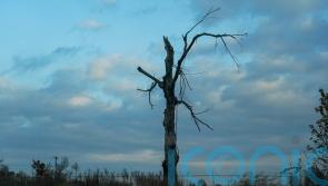 Global daily average temperature 2C above pre-industrial norm for first time
