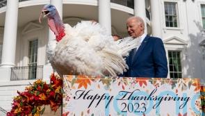 Biden pardons Thanksgiving turkeys and marks his 81st birthday with jokes