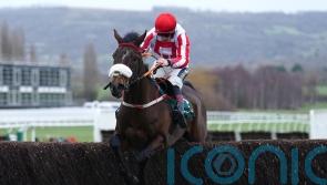 The Real Whacker still on course for King George challenge