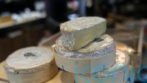 EU food packaging vote causes cultural stink over Camembert