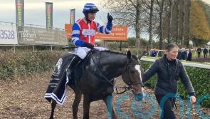 Cheltenham and Ascot options for Blackjack Magic
