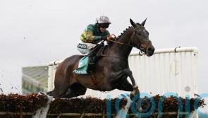 Inthepocket and Fact To File backed to improve on promising chasing debuts