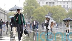 UK economy ‘found its feet again’ as business activity returns to growth