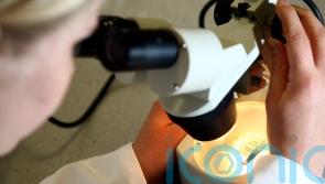 Number attending cervical screening appointments at lowest level since 2020