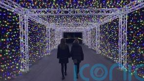 Zoo unveils winter lights display with glowing see-saws and 500,000 bulbs