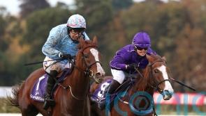 Slate Lane ‘doing everything right’ ahead of Haydock test