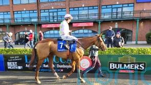 Mister Policeman lays down the law at Fairyhouse